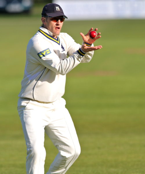 Cricket